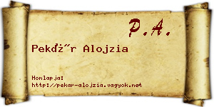 Pekár Alojzia névjegykártya